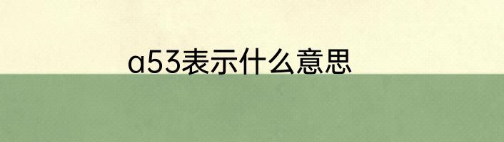 a53表示什么意思