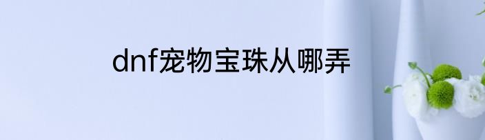 dnf宠物宝珠从哪弄