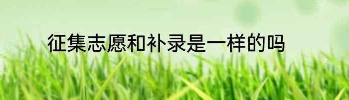 征集志愿和补录是一样的吗