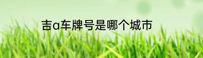 吉a车牌号是哪个城市