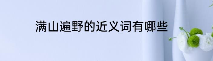 满山遍野的近义词有哪些