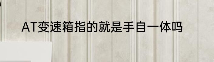 AT变速箱指的就是手自一体吗