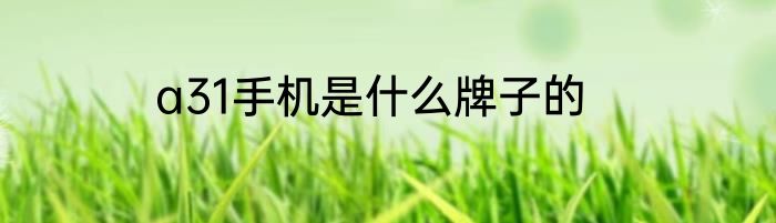 a31手机是什么牌子的