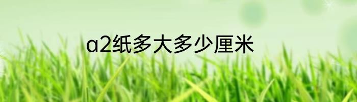 a2纸多大多少厘米
