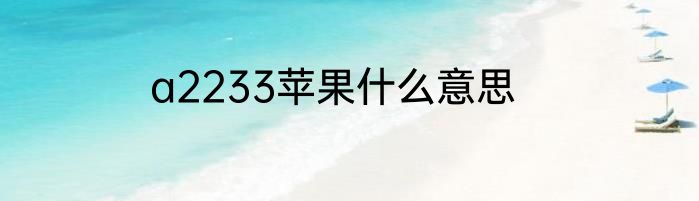 a2233苹果什么意思