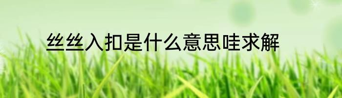 丝丝入扣是什么意思哇求解