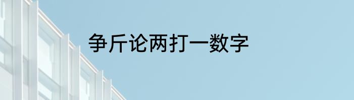 争斤论两打一数字