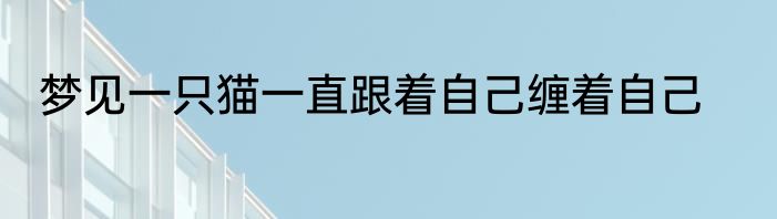 梦见一只猫一直跟着自己缠着自己