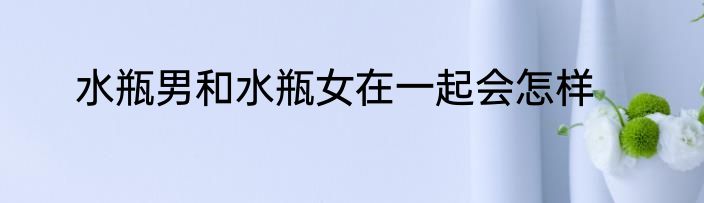 水瓶男和水瓶女在一起会怎样