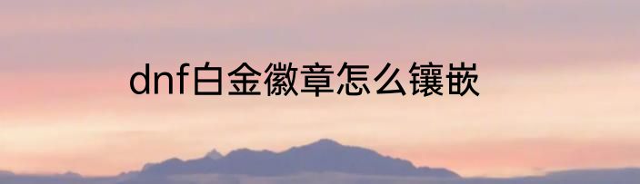 dnf白金徽章怎么镶嵌