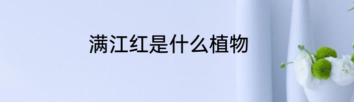 满江红是什么植物