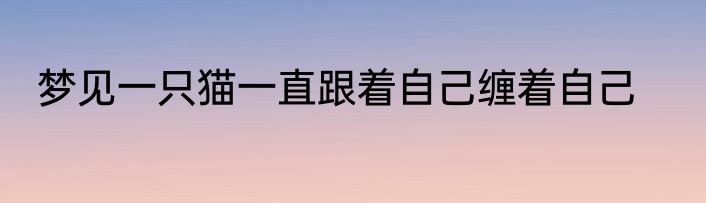 梦见一只猫一直跟着自己缠着自己