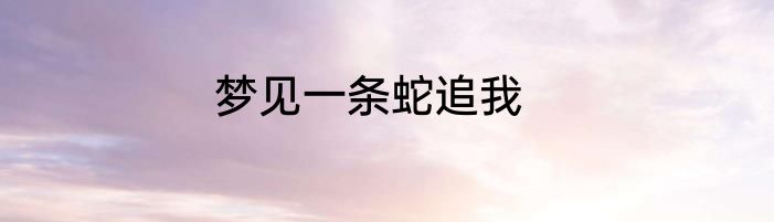 梦见一条蛇追我