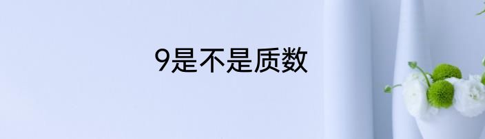 9是不是质数