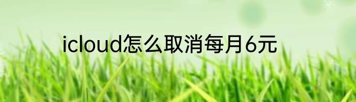 icloud怎么取消每月6元