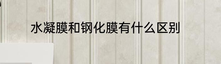 水凝膜和钢化膜有什么区别
