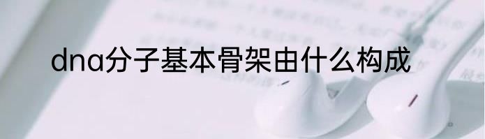 dna分子基本骨架由什么构成