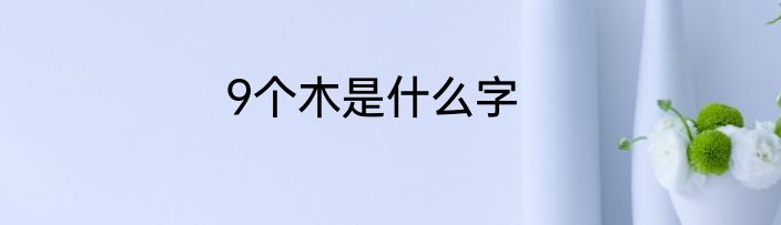 9个木是什么字
