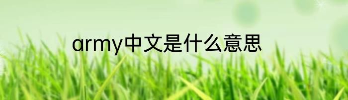 army中文是什么意思