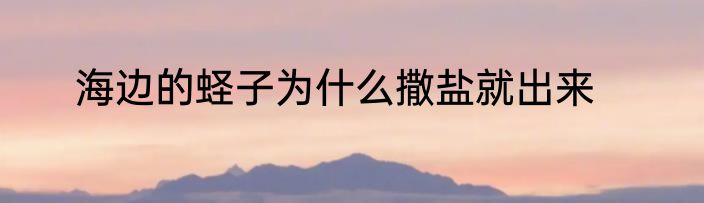 海边的蛏子为什么撒盐就出来