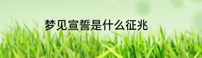 梦见宣誓是什么征兆