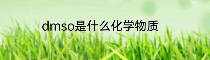 dmso是什么化学物质