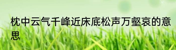 枕中云气千峰近床底松声万壑哀的意思
