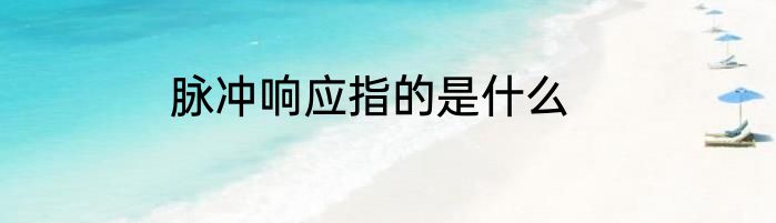 脉冲响应指的是什么