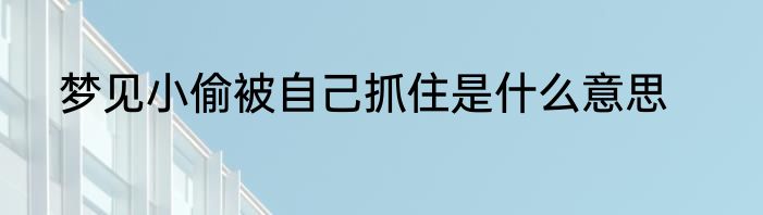 梦见小偷被自己抓住是什么意思