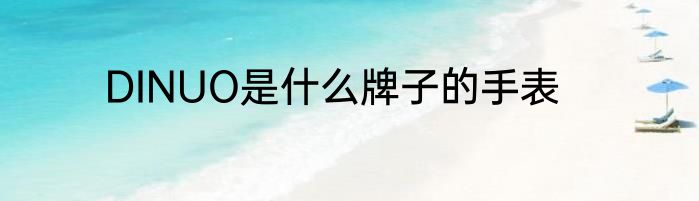 DINUO是什么牌子的手表