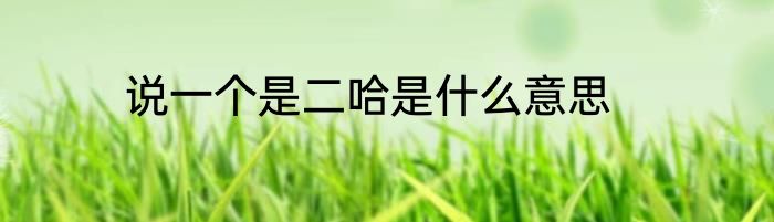 说一个是二哈是什么意思