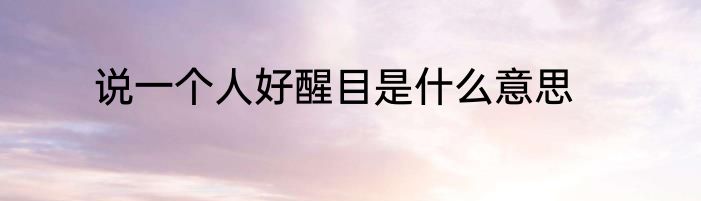 说一个人好醒目是什么意思