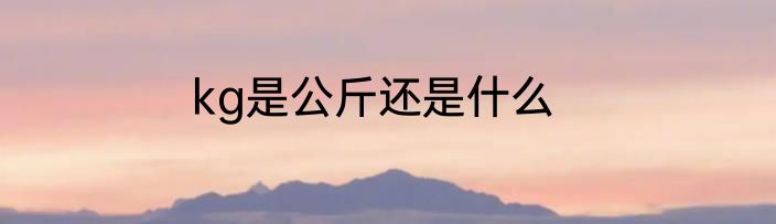 kg是公斤还是什么