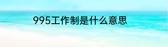 995工作制是什么意思