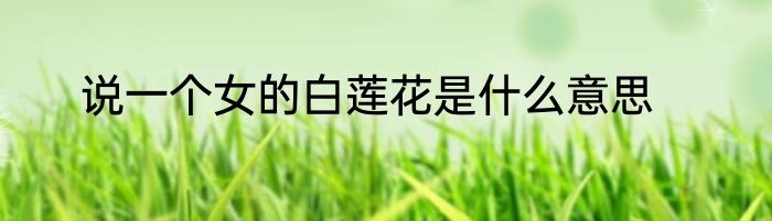 说一个女的白莲花是什么意思