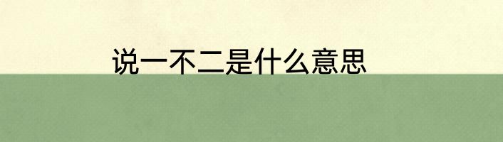 说一不二是什么意思