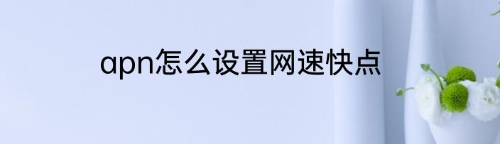 apn怎么设置网速快点