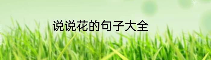 说说花的句子大全
