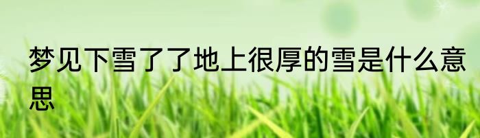 梦见下雪了了地上很厚的雪是什么意思
