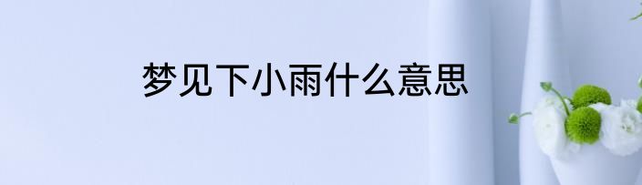 梦见下小雨什么意思