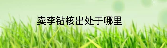 卖李钻核出处于哪里