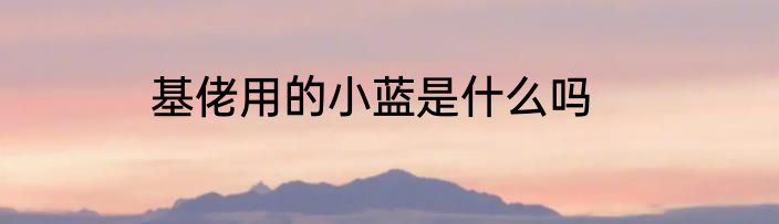 基佬用的小蓝是什么吗