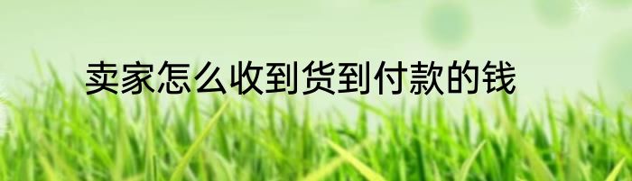 卖家怎么收到货到付款的钱