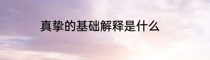 真挚的基础解释是什么