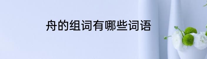 舟的组词有哪些词语