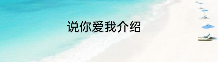 说你爱我介绍