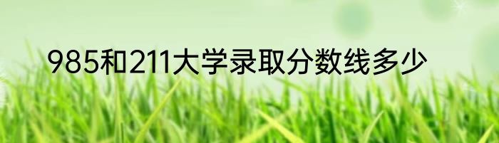 985和211大学录取分数线多少