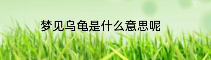 梦见乌龟是什么意思呢