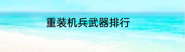 重装机兵武器排行