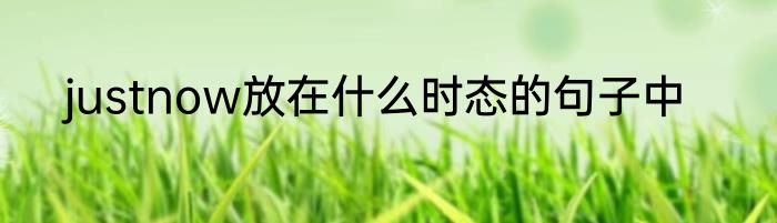 justnow放在什么时态的句子中